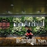 睡在樟宜机场——樟宜机场过夜及交通攻略