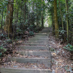 新加坡“某某山”地名大盘点