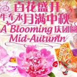 2014牛车水节日庆典8月24日亮灯仪式
