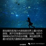 你不知道的世界吉尼斯纪录:新加坡圣淘沙水族馆是全球第一大!