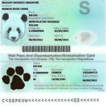 实用 | 来新加坡工作,办理SP、EP准证的流程分享