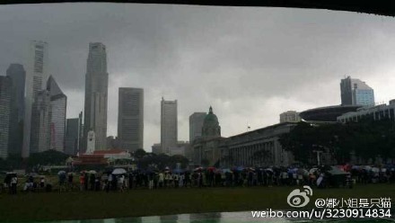 娜小姐雨