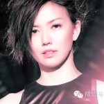 新加坡国庆福利:20块钱看孙燕姿和JJ演唱会!