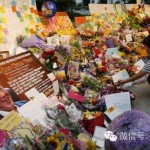 李光耀在新加坡中央医院治疗时,和平民同等待遇?