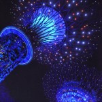 新加坡滨海湾花园,晚上去的话一定别错过免费的狂想曲灯光秀