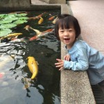 新加坡妈妈分享,宝宝患手足口病全记录