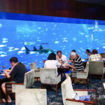 520 ♥ 盘点新加坡适合约会的11大浪漫餐厅 (๑>◡