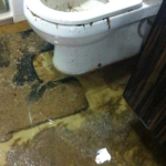 Oh Shit!新加坡榜鹅倒霉催的屋主,因下水道堵,新家变粪池。。