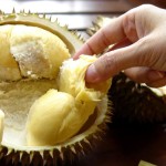 巴淡岛超值榴莲团38新起,7.17公共假期不涨价
