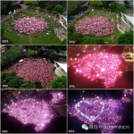2015新加坡粉红点,支持同性恋的粉红LOVE美翻了