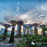 Trip Advisor旅游网站官方推荐:新加坡50个标志性地方