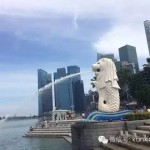 我在新加坡的日子 | 那些年,我在新加坡看过的烟火