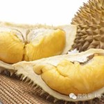 我在新加坡的日子|我是新加坡的儿媳
