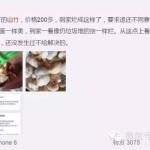 新加坡美女学者,也谈作家六六买到烂山竹事件