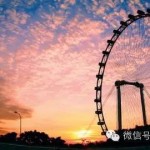 我在新加坡的日子 | 外国的月亮到底有没有比较圆?