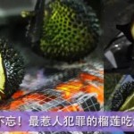 当我把榴莲丢到火上烧烤一下以后…我震惊了…