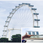 我在新加坡的日子|不痛不痒枉青春
