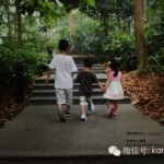 空气污染指数353的新加坡植物园游记,太拼了