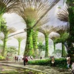 回龙应台:滨海湾花园植物为啥没标中文名