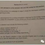 独家解析2015新加坡O水准英文卷(相当于中国中考)