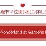 2015新加坡圣诞活动终极攻略!