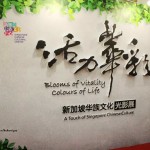 本月重头文化活动:活力华彩-新加披华族文化光影展