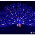 严重关注:华人新年,歪果仁早就蠢蠢欲动了~~