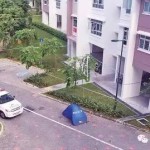 14岁男生非礼女生,到警方录完口供后,回家跳楼身亡