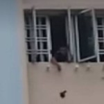 “我玩我的鸟,关你们什么事?”惊动警察甚至部长