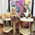 新加坡居然有一家猫咪博物馆!