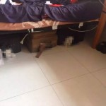 新加坡租房新政5月1日生效 说坡上找房辛酸事
