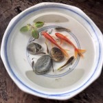 考考你的眼力,看看哪些是真的鱼,哪些是3D画