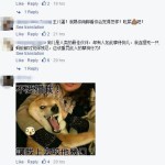 新加坡恶男虐狗激怒全岛,被网友人肉后还有脸出来