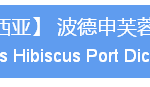 六月假期带娃去哪里?亚洲澳洲多条精品线路推荐