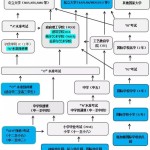 高考之后 可以来新加坡读哪些学校?