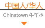 牛车水、小印度、幸运中心、黄金坊,新加坡不同国家/种族的人都爱去哪?