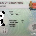 学生准证取消,工作还没找到,怎么留在新加坡?