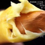 榴梿不好吃?只要学会这三招,包你买到好榴梿!