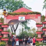 奇妙的滨海湾2016花园节,全程体验抢鲜放送