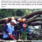 大雨滂沱,谁这么大胆挡新加坡前总理吴作栋的路?