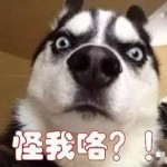 新加坡无业汉冒充神棍,两次迷奸少妇,重判!
