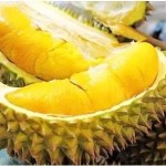新加坡榴莲价格狂涨,你还吃得起吗?