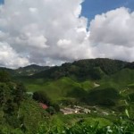 天气这么热,跟我去大马金马仑避暑吧,一路好风景