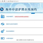 网友亲测,手把手教你在新加坡预约申请中国护照