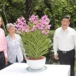 见地|克拉运河不会影响新加坡的区域枢纽地位