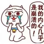 亲身经历告诉你,在新加坡用哪张信用卡最给力