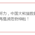 大熊猫不再濒危,新加坡两只滚滚啥时能贡献一只?