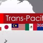 美国若“放鸽子”把TPP搞黄了,以后鬼才信你