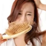 在新加坡掉头发真不少,听到发型师这样说我就放心了