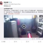 猫咪:老子就出去吹吹风,看你们紧张成那个样子